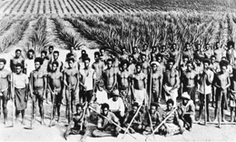 Pacific Island labourers arriving at Bundaberg, QLD